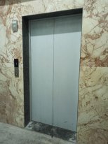 Green Bazar (Зеленый базар) Алматы (3)
